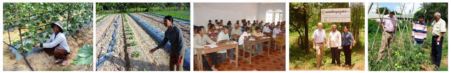 Cambodian Microfinance and Farmer Associations