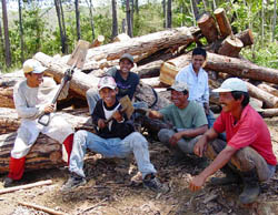 Philippine Forestry Bukidnon Forests Incorporated