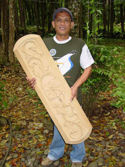 Philippine Forestry Bukidnon Forests Incorporated