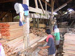 Philippine Forestry Bukidnon Forests Incorporated