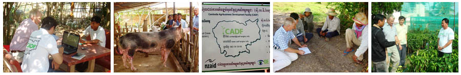 Evaluation of the Cambodian Agriculture Development Facility (CADF) - Glenhill Consulting Limited
