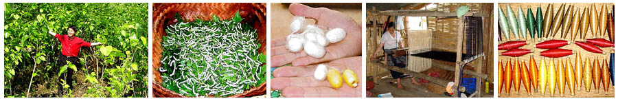 Lao PDR Silk Industry Value Chain - NZODA’s Asian Development Assistance Facility - Glenhill Consulting Limited