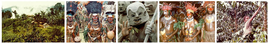 Development Bank of Papua New Guinea